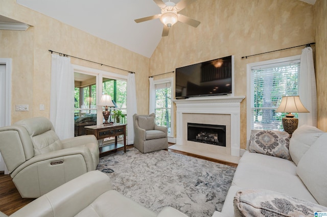 4527 High Court Cir, Hoover, AL 35242 - living area with a premium fireplace, wood finished floors, a ceiling fan, and high vaulted ceiling