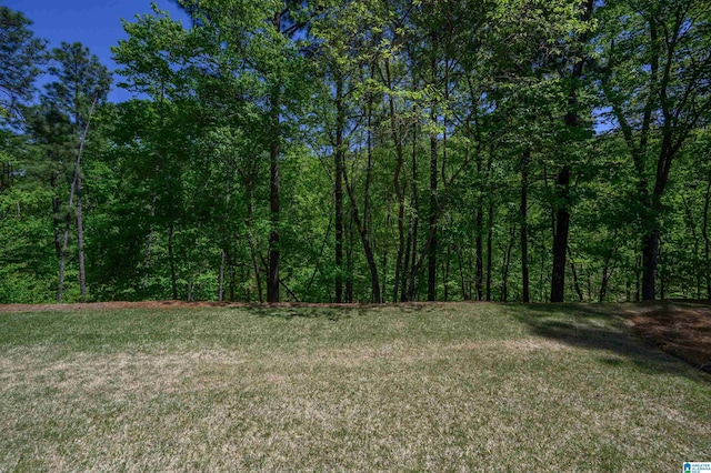 4527 High Court Cir, Hoover, AL 35242 - view of yard with a view of trees