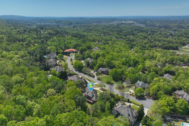4527 High Court Cir, Hoover, AL 35242 - aerial view with a wooded view