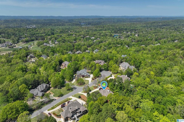 4527 High Court Cir, Hoover, AL 35242 - aerial view featuring a view of trees