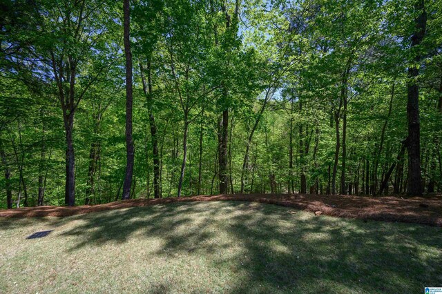 4527 High Court Cir, Hoover, AL 35242 - view of yard with a forest view