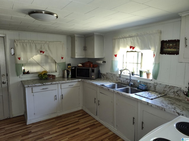 kitchen with dark wood-style floors, a sink, stainless steel microwave, white cabinetry, and light countertops