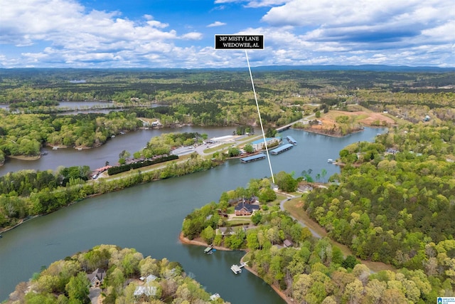 387 Misty Ln, Wedowee, AL 36278 - aerial view with a water view and a wooded view
