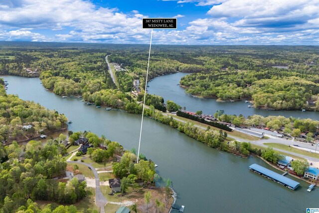 387 Misty Ln, Wedowee, AL 36278 - bird's eye view featuring a forest view and a water view