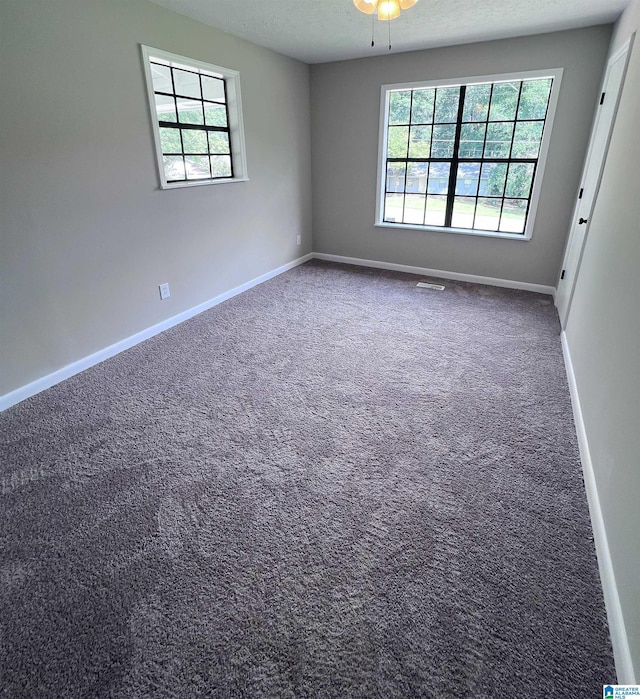 632 Bernard Couch Dr, Anniston, AL 36207 - carpeted spare room with baseboards, visible vents, and a wealth of natural light