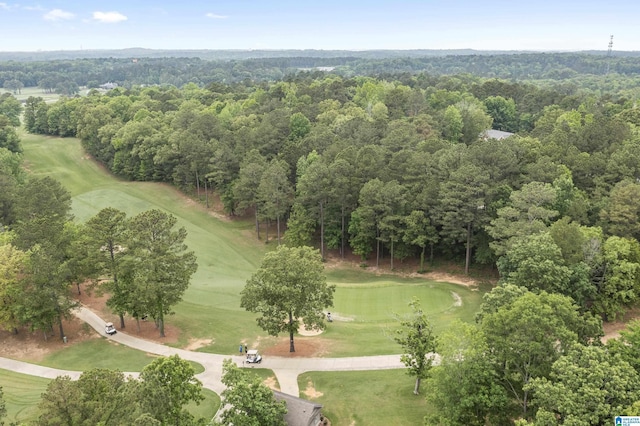 43 Dogwood Dr, Calera, AL 35040 - birds eye view of property featuring golf course view