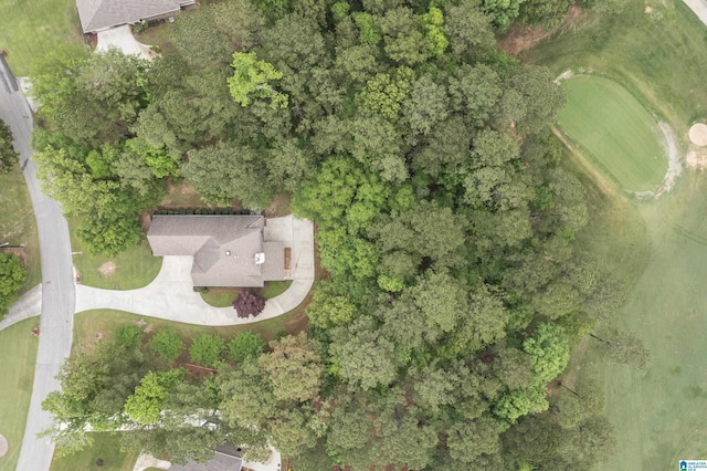 43 Dogwood Dr, Calera, AL 35040 - drone / aerial view