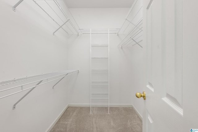 43 Dogwood Dr, Calera, AL 35040 - walk in closet with light carpet