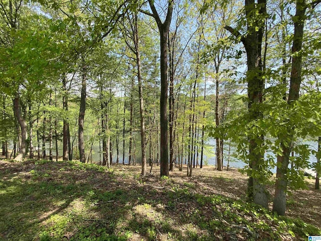 view of local wilderness