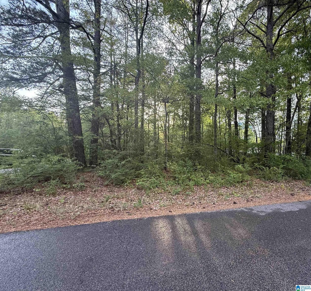 0 Pennsylvania Ave Unknown, Unit Unknown, Gadsden, AL 35903