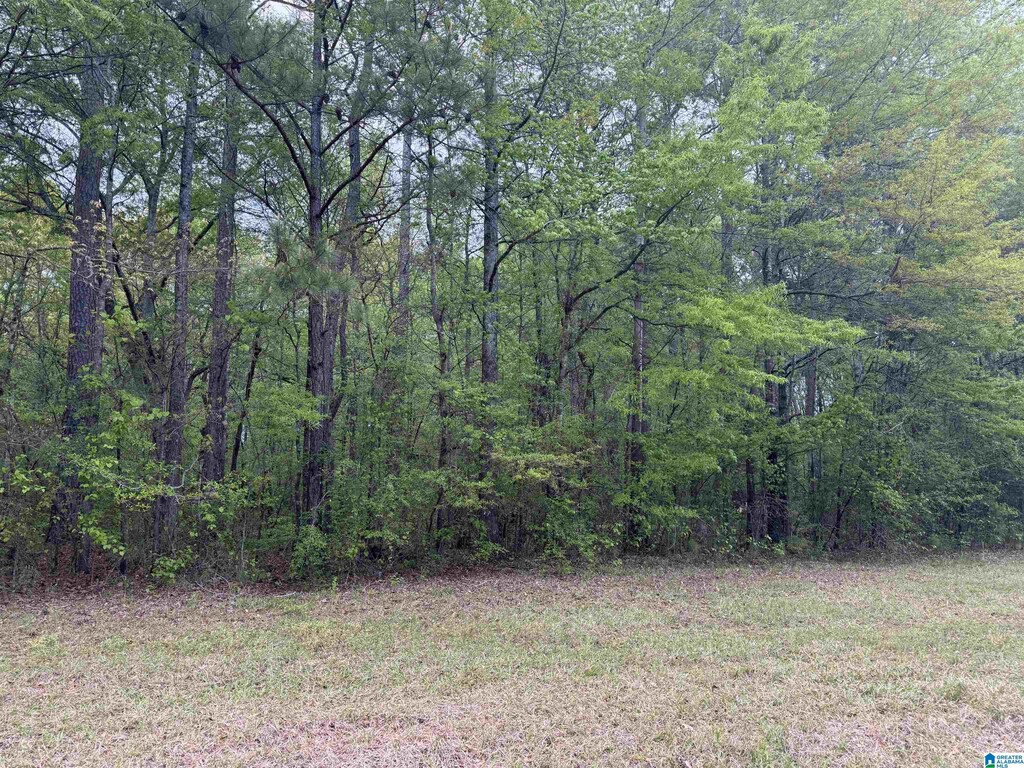 0 Mississippi St Unknown, Unit Unknown, Gadsden, AL 35903