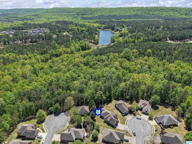 birds eye view of property with a wooded view and a water view
