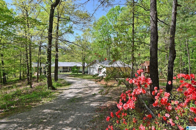 view of road with driveway