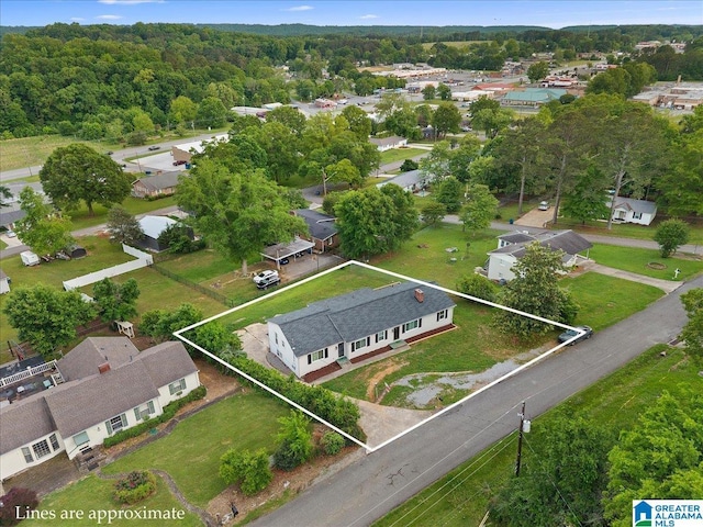 1203 Park Ave, Oneonta, AL 35121 - aerial view with a residential view
