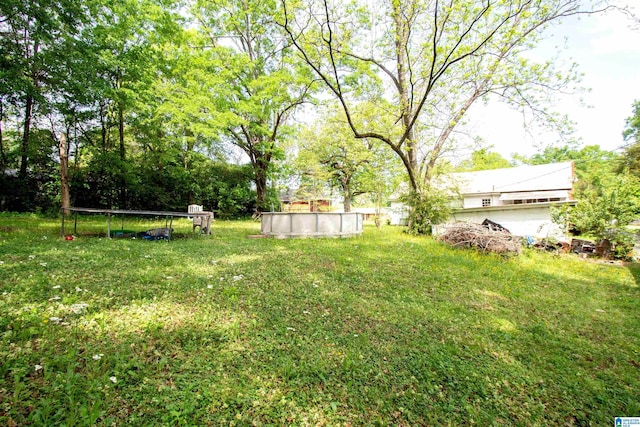view of yard featuring an outdoor pool and a trampoline