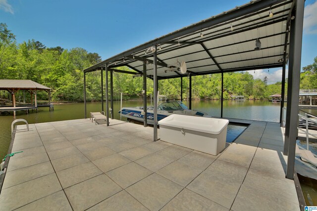 dock area with a water view