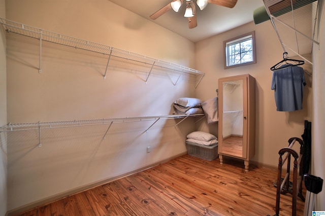 spacious closet featuring wood finished floors and a ceiling fan