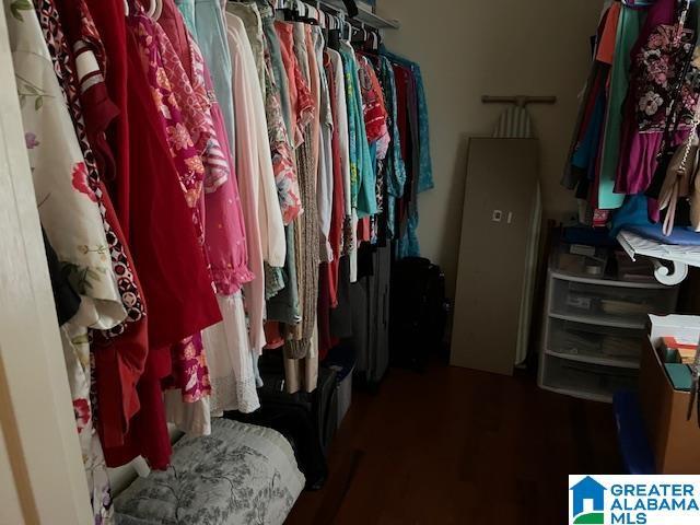 walk in closet featuring wood finished floors