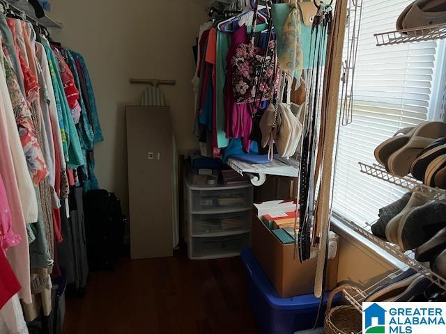 walk in closet featuring wood finished floors