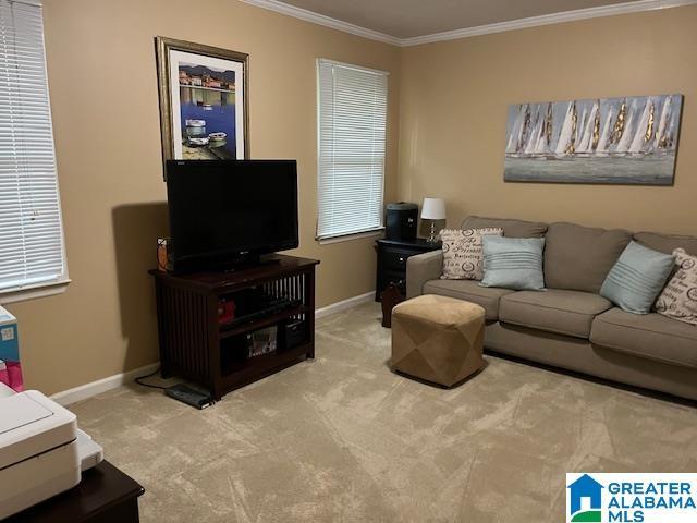 living room with carpet, crown molding, and baseboards