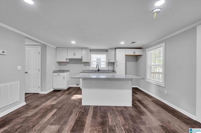 300 6th St, Docena, AL 35060 - kitchen with a sink, visible vents, baseboards, ornamental molding, and dark wood-type flooring