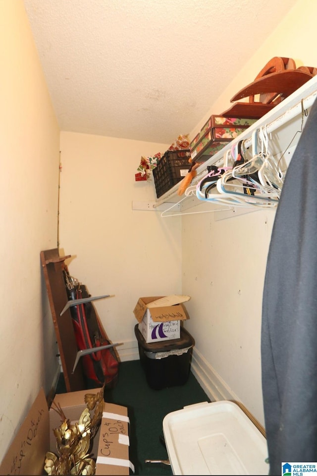 801 Walnut St, Talladega, AL 35160 - view of spacious closet