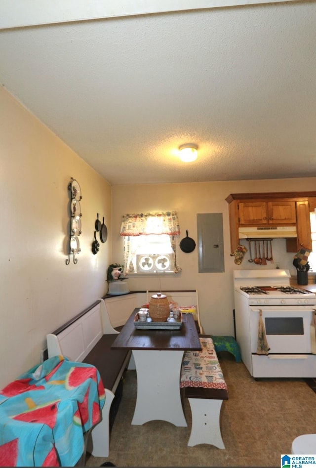 801 Walnut St, Talladega, AL 35160 - dining area with carpet flooring, a textured ceiling, and electric panel