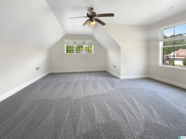 131 Willow View Ln, Wilsonville, AL 35186 - bonus room featuring baseboards, lofted ceiling, visible vents, and carpet