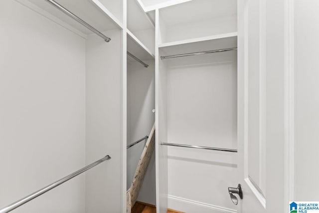 view of walk in closet