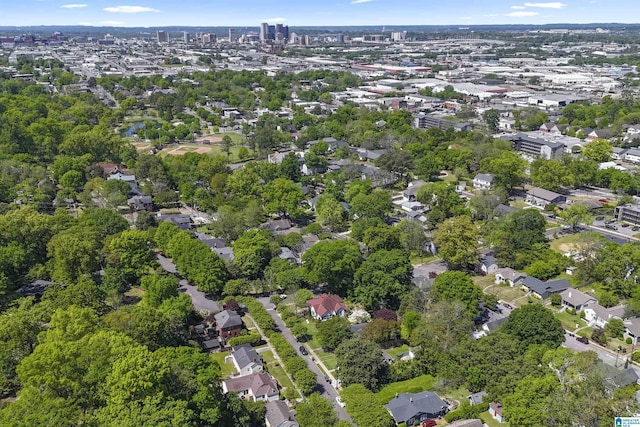 bird's eye view