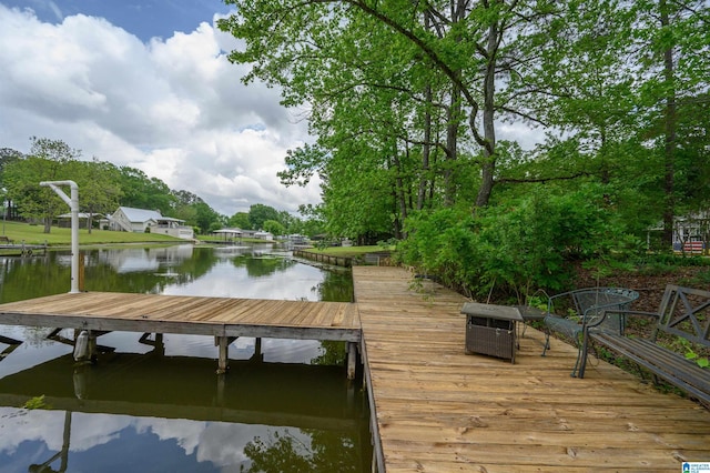 dock area with a water view