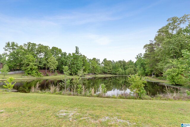 2698 Piedmont Dr, Helena, AL 35022 - water view