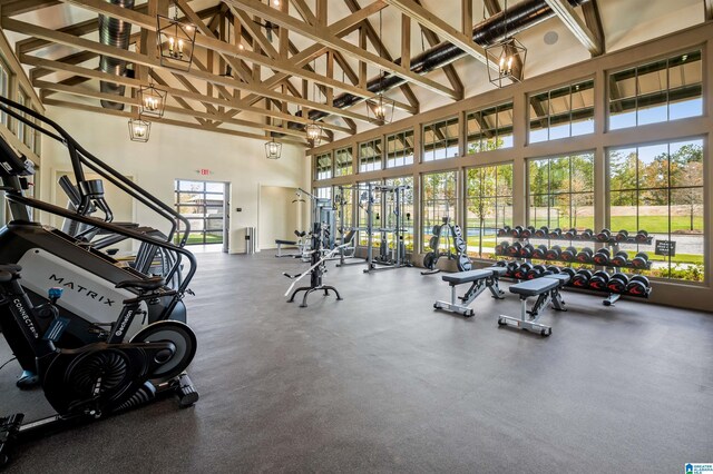 exercise room with a towering ceiling