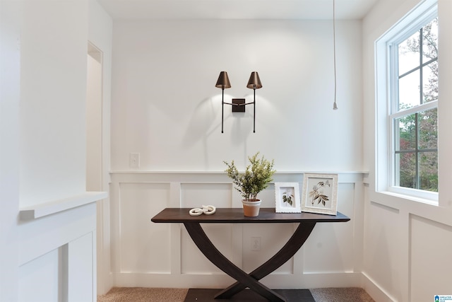 room details featuring wainscoting, carpet, and a decorative wall