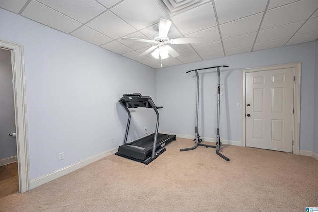 exercise area with baseboards, a ceiling fan, carpet flooring, and a drop ceiling