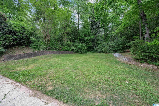 view of yard