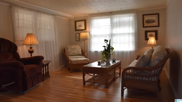 living area with ornamental molding, wood finished floors, and a textured ceiling