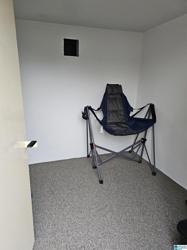 workout area featuring carpet floors