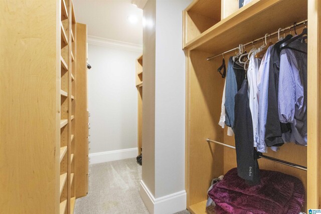 walk in closet featuring carpet