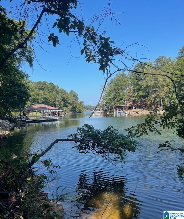 LOT1 Lakeridge Ln Unit 1, Talladega, AL 35160