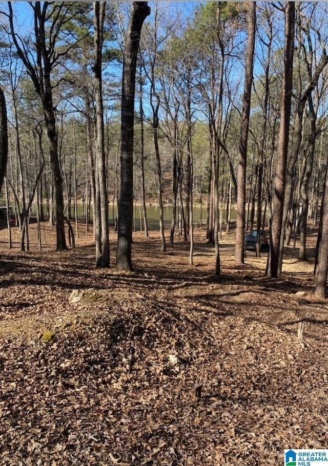 LOT1 Lakeridge Ln Unit 1, Talladega, AL 35160