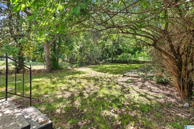view of yard