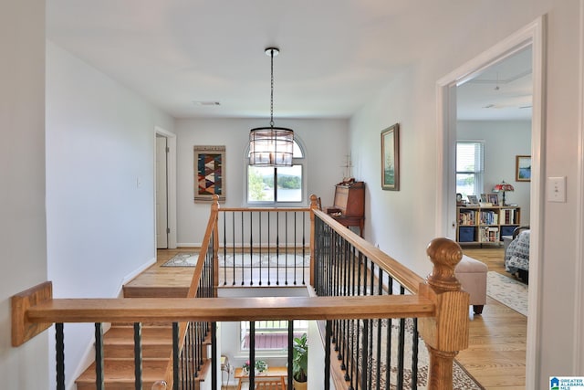 stairway with an inviting chandelier, wood finished floors, visible vents, and plenty of natural light