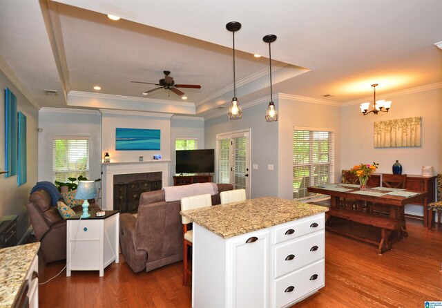 kitchen with a raised ceiling, dark wood-style floors, a wealth of natural light, and white cabinets