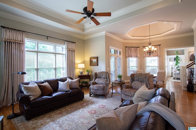 living room with wood finished floors, a raised ceiling, ceiling fan, a chandelier, and crown molding