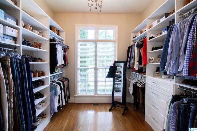 spacious closet featuring light wood-type flooring