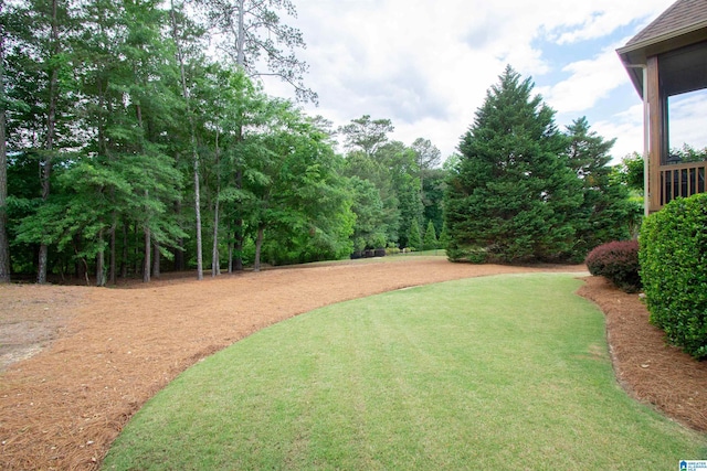 view of green lawn