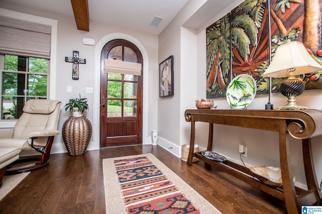 foyer featuring plenty of natural light, wood finished floors, and visible vents