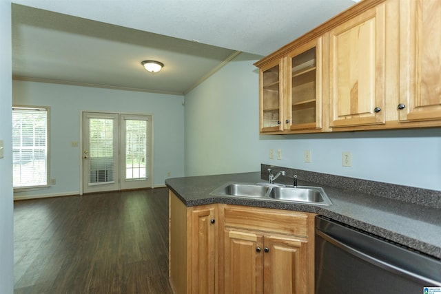 kitchen featuring dishwasher, ornamental molding, dark wood-style floors, and a sink
