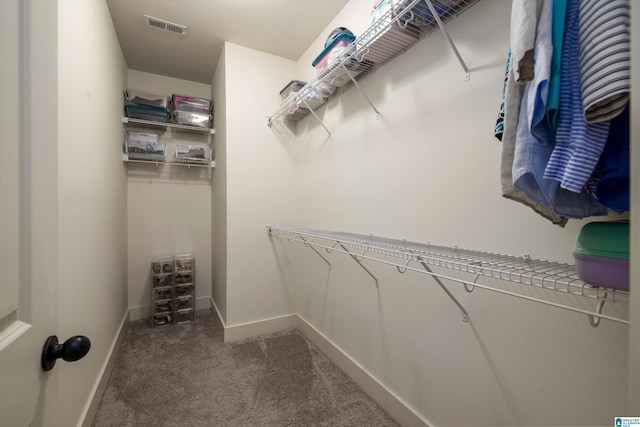 walk in closet with visible vents and carpet flooring
